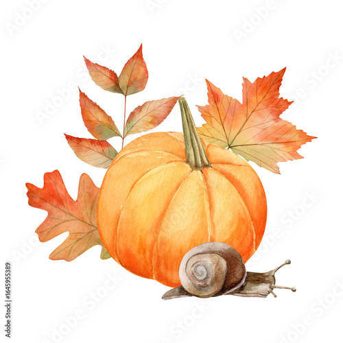 Hand-drawn watercolor composition of pumpkin, leaves of , oak, maple,  a snail with soft, delicate gradients of orange, yellow and red tones. Autumn vibes. Autumn composotion. Thanksgiving day. 