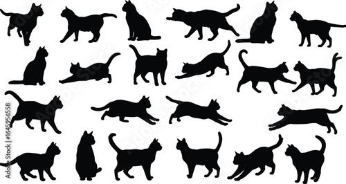 Silhouette of cats, different poses, sitting, walking, stretching, playful cat illustrations, cat behavior, vector design, feline movement