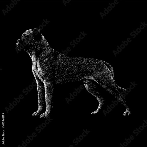 Detailed black and white stipple illustration of a Mastiff Mix dog in a standing pose, showcasing its strong muscular build and attentive posture, rendered on a black background in a engraving style.
