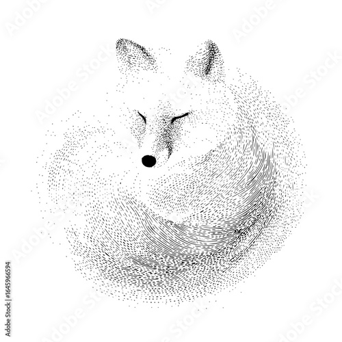 Fox illustration drawing animal art black and white wildlife nature design mammal predator forest wild cute line