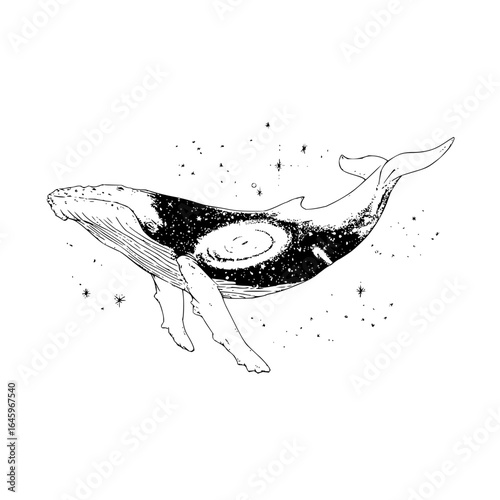 Whale galaxy celestial cosmic stars space ocean sea mammal animal illustration drawing artwork design art print 100