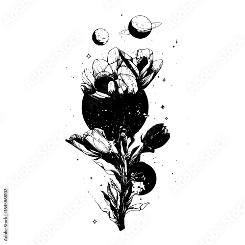 Tulip flower planets black and white floral botanical space astronomy cosmos galaxy stars nature art drawing design
