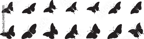Collection of black vector silhouettes of flying birds, wings, and wildlife