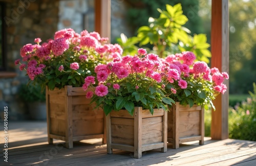 Wallpaper Mural Three wooden planters overflow with vibrant pink garden flowers in sunlit summer gazebo. Rich green foliage and soft shadows create warm, inviting atmosphere for this decorative floral arrangement. Torontodigital.ca