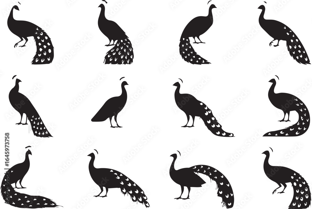 Fototapeta premium Set of Standing Peacock Silhouettes in Various Poses