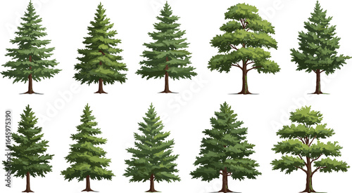Set of Realistic Tree Illustrations Featuring Various Coniferous Pines and Broadleaf Species, Perfect for Forest, Park, or Nature Landscape Design Projects