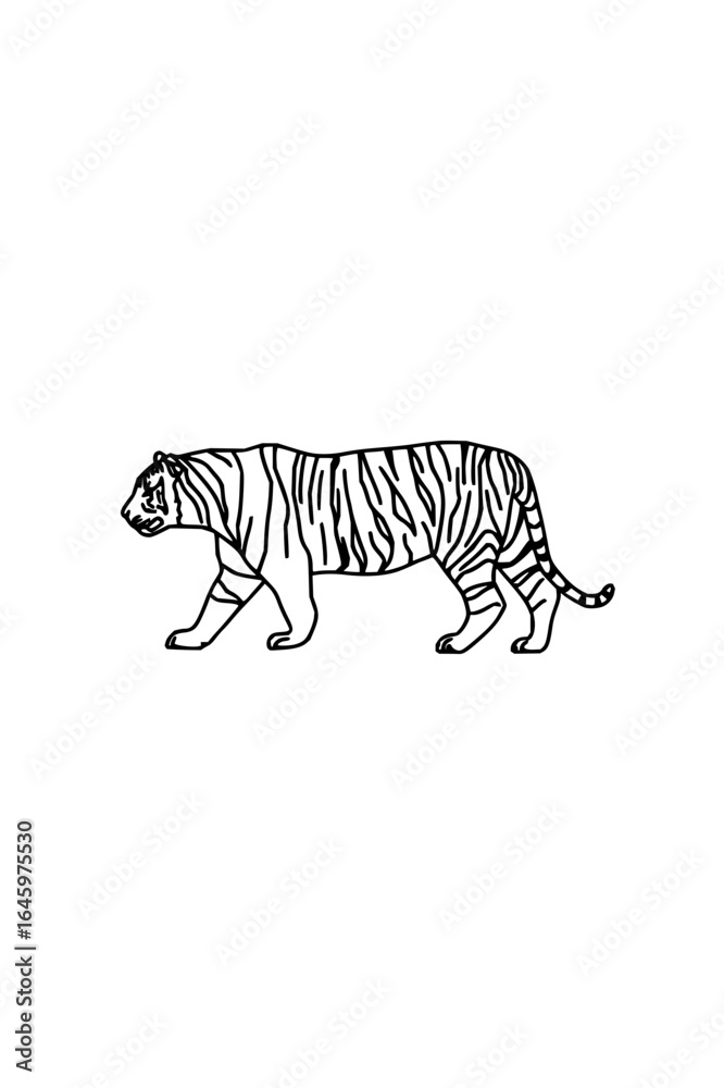 Naklejka premium Illustration of a tiger walking with black stripes on a white background in line art style