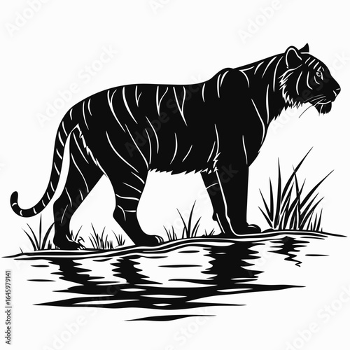 tiger on a black background