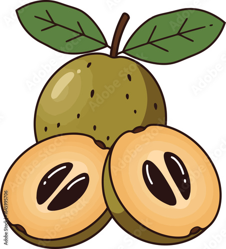 Fresh sapodilla fruit whole and halved tropical sweetness