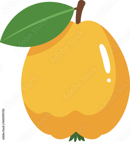 Golden quince fruit with leaf vector illustration