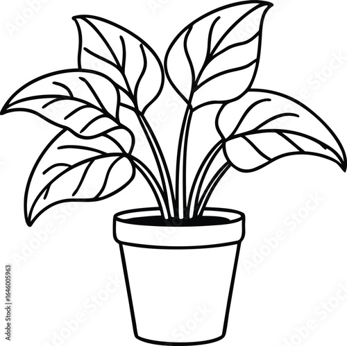 Potted house plant outline drawing illustration. one continuous line drawing of plant in the pot for house decoration.draw, editable, graphic, continuity, drawing, vignetting, abstract, art, element,