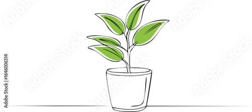 Plant on the pot outline drawing illustration. one continuous line drawing of house plant.plant, outline, leaf, vignetting, draw, editable, drawing, art, home, illustration, indoor, interior, single,