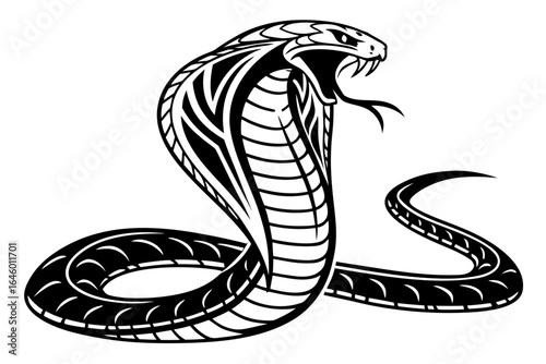 Fierce Cobra Snake Ready to Strike.