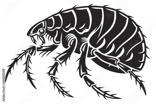 Stylized Black and White Flea Illustration.