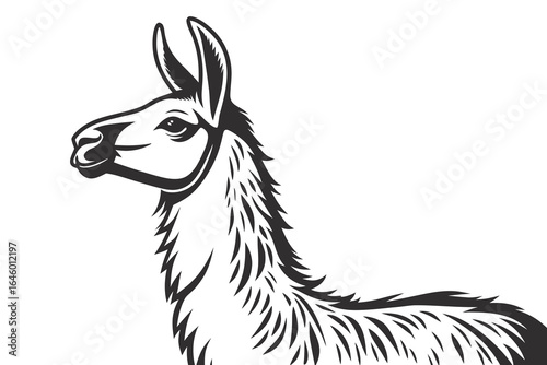 Stylized Black and White Llama Head Profile.