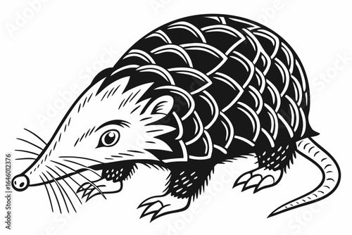 Stylized Black and White Pangolin Illustration.
