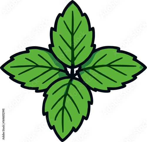 Fresh Peppermint Leaves Vector Illustration – Green Herbal Mint Leaf Icon with Bold Outline