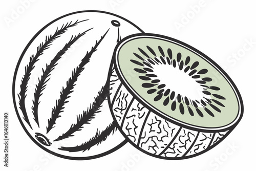 Whole and Sliced Kiwi Fruit Illustration.