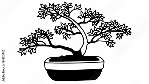 Illustration of a bonsai tree with leaves in a pot in black and white art