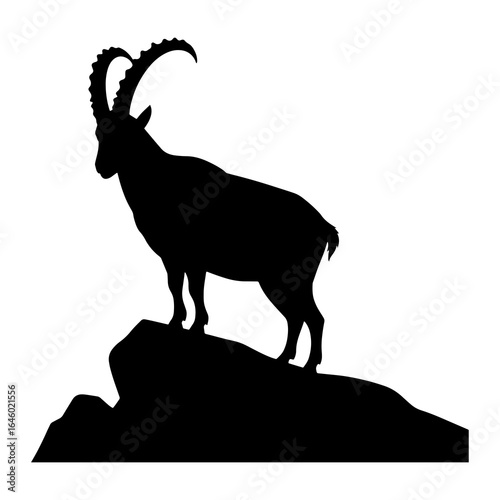 Ibex silhouette standing on rocky outcrop black white
