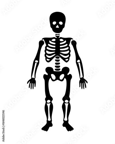 Human Skeleton Figure Medical Silhouette
