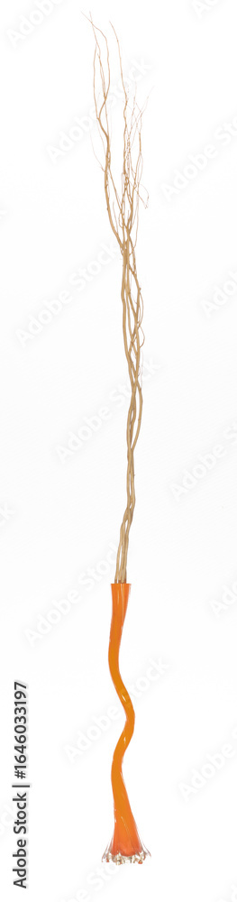 Fototapeta premium long vase with dry branches isolated on white background