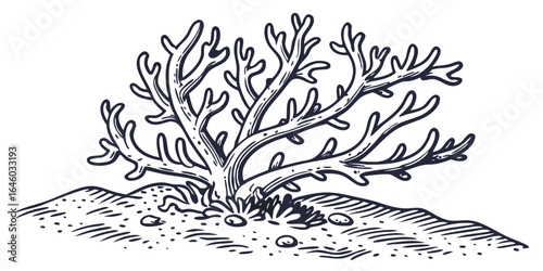 marine driftwood with coral growth detailed line drawing illustration for coastal nature education isolated on white background.