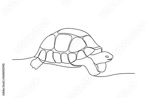 Continuous line drawing a tortoise walking single line turtle animal