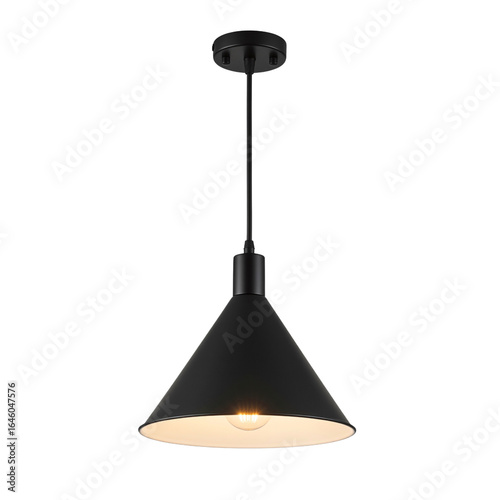 Modern black industrial pendant light fixture