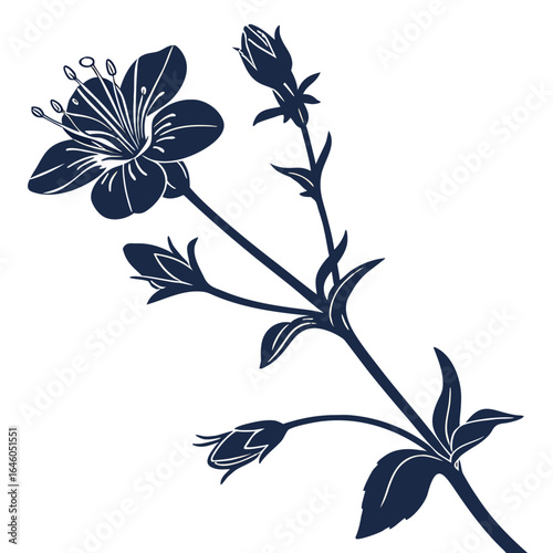 floral background with anagallis minima