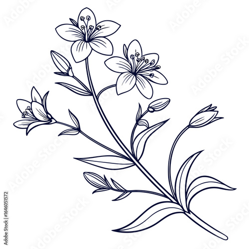 abstract floral background with anagallis minima
