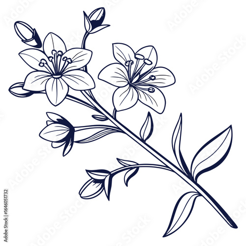 abstract floral background with anagallis minima