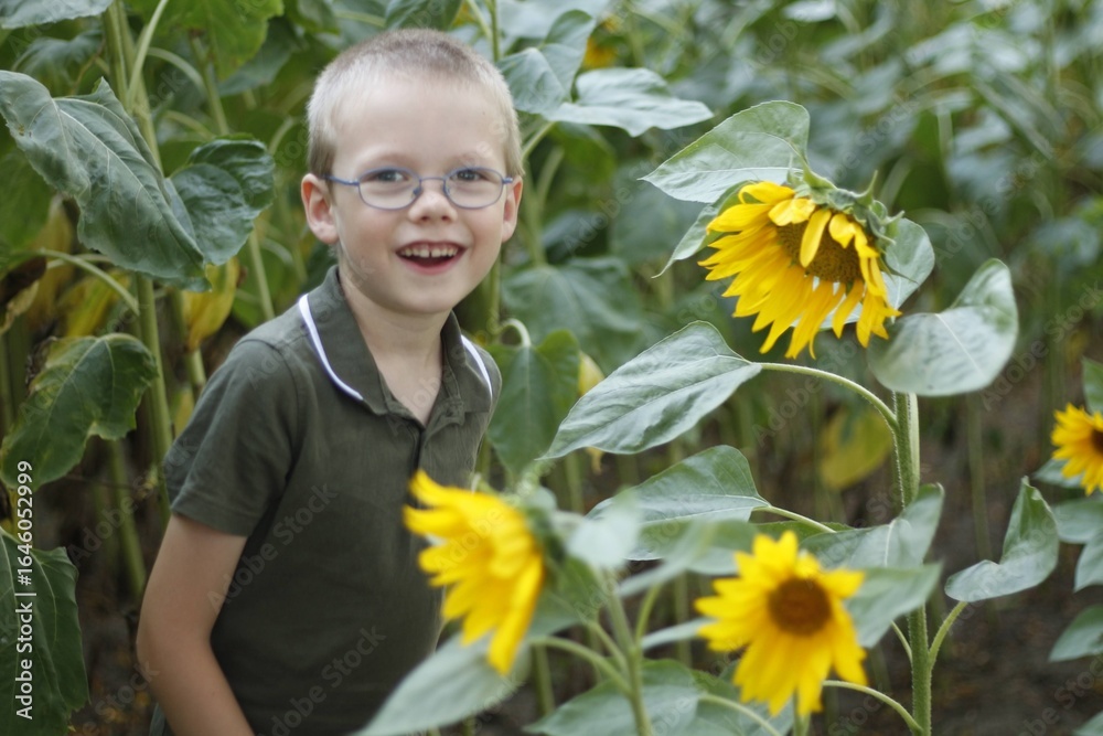 A little boy of 6 years old wearing glasses smiles sincerely while standing in sunflowers. A little boy of 6 years old wearing glasses smiles sincerely while standing in sunflowers.