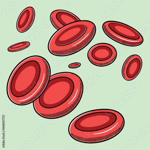 Red Blood Cells Illustration erythrocytes medical