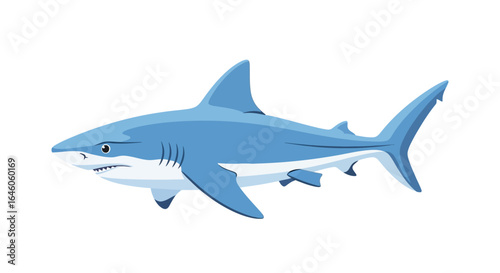 Blue shark illustration ocean predator sea animal