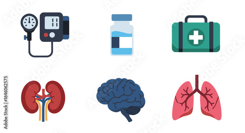 Collection of medical equipment and human organs including blood pressure monitor and first aid kit shown 100