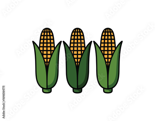 Three ripe corn cobs ready for harvest vector clipart, isolated on white background.