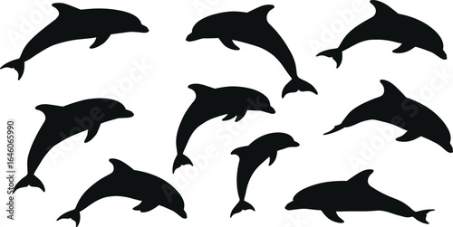Set of dolphin silhouettes, jumping and swimming poses, marine life vector collection, isolated black icons for ocean, wildlife, sea designs
