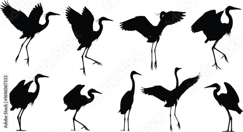 Silhouette collection of herons and cranes in flying and standing poses, black bird vector icons for wildlife, nature, wetland design