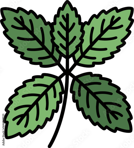 Mint Leaf Vector Illustration – Fresh Green Herbal Plant Clipart