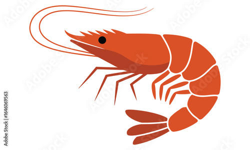 shrimp on white background