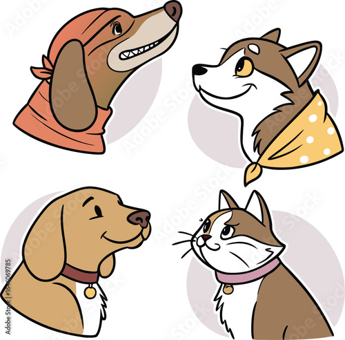 Cute pets