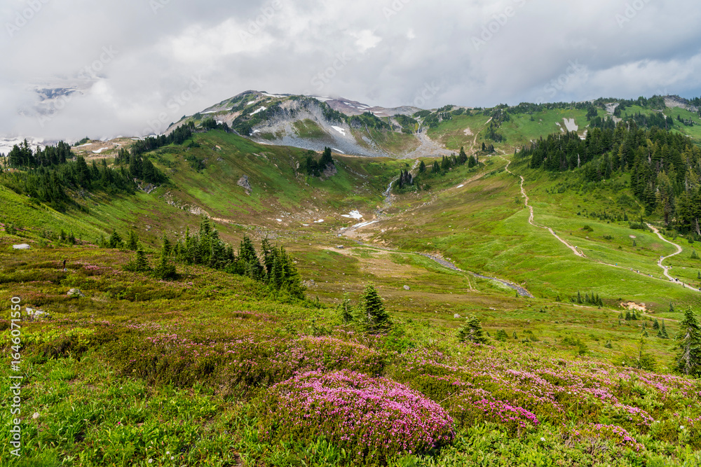 Fototapeta premium Mountain landscape with meadow. Valley landscape with cloudy sky. Scenic green hill mountain. Travel destination. Breathtaking summer in wild mountain with forest and green slopes