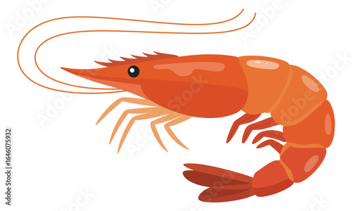 crayfish on white