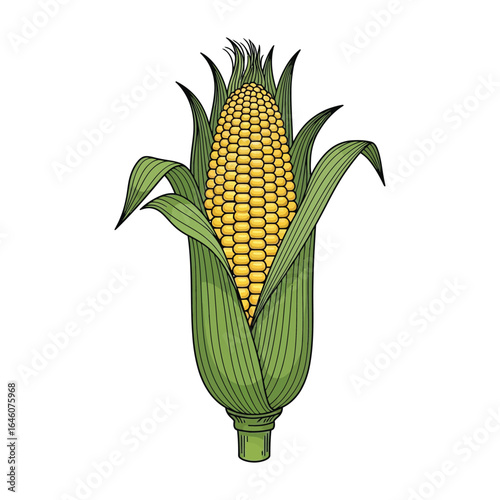 Illustration of a corn cob with green leaves, showcasing its kernels and husk.