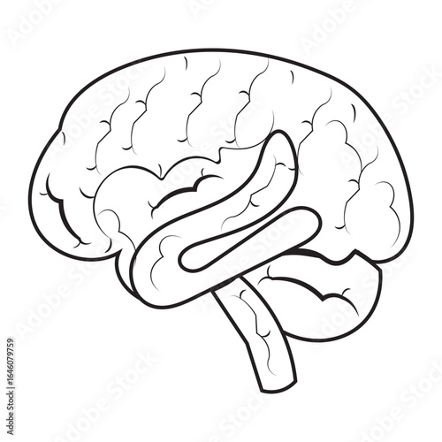 Human brain icon with editable stroke, Simple brain diagram illustration