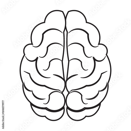 Human brain icon with editable stroke, Simple brain diagram illustration
