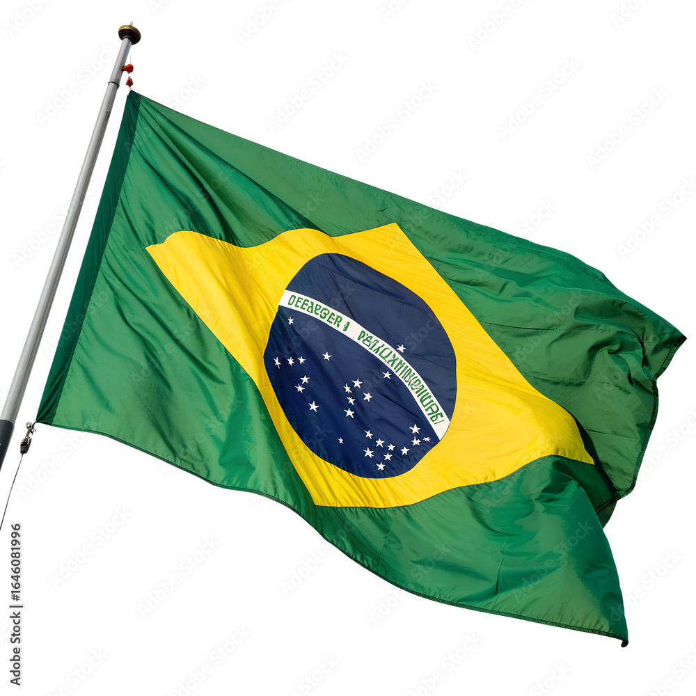 custom made wallpaper toronto digitalBrazilian flag waving isolated on transparent background