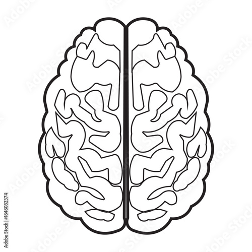 Human brain icon with editable stroke, Simple brain diagram illustration
