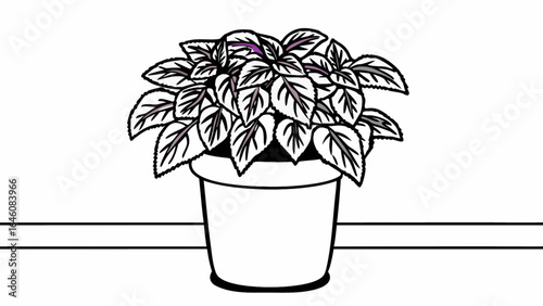 Cartoon potted waffle plant on white background, line art style, houseplant